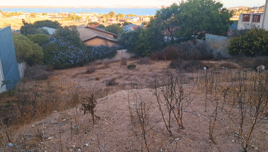 0 Bedroom Property for Sale in Saldanha Western Cape